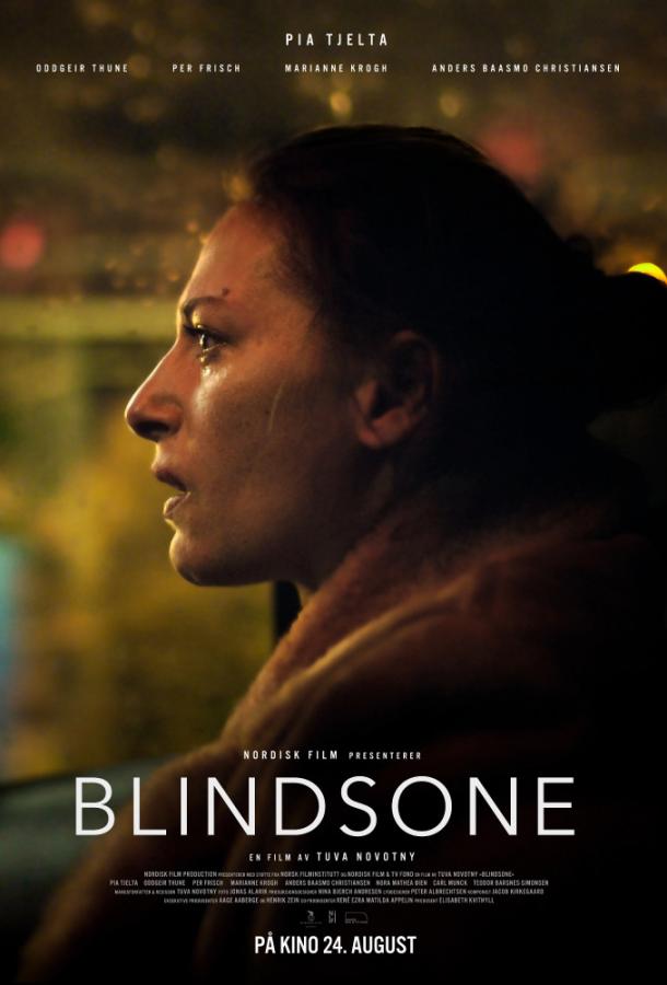 Слепое пятно / Blindsone (2018) 