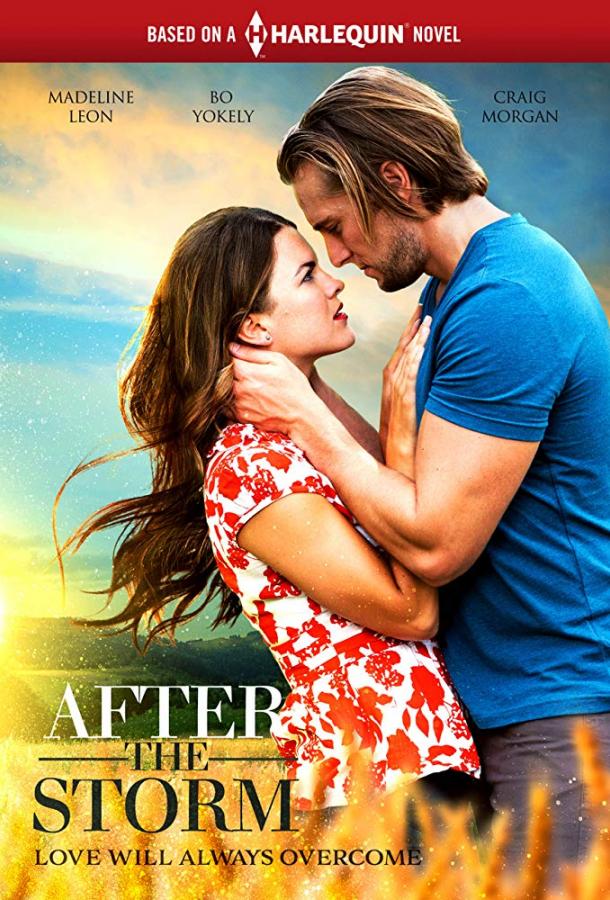 После бури / After the Storm (2019) 