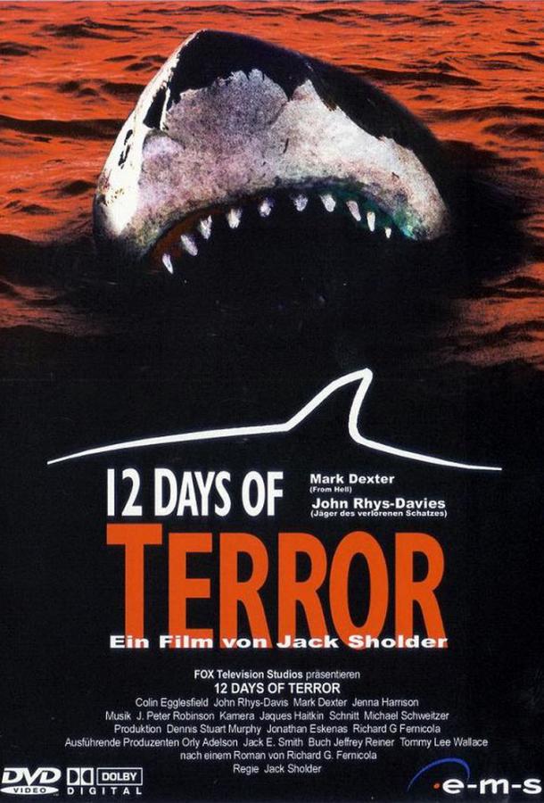 12 дней страха / 12 Days of Terror (2004) 