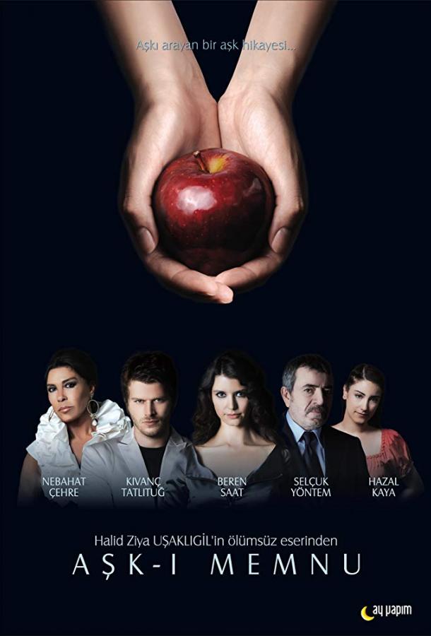 Запретная любовь / The Forbidden Love (2008) 