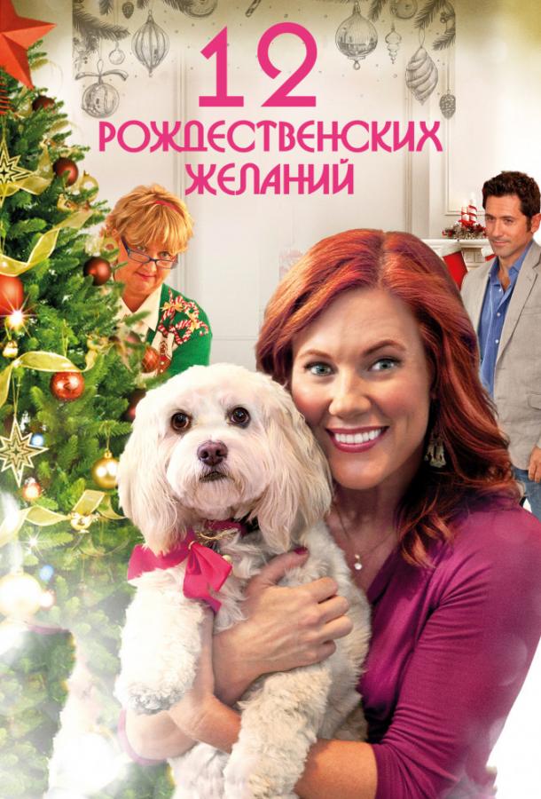 12 Рождественских желаний / 12 Wishes of Christmas (2011) 