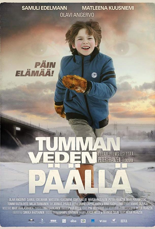 Над темными водами / Tumman veden p??ll? (2013) 
