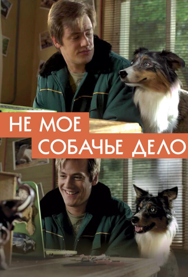 Не моё собачье дело (2020) 