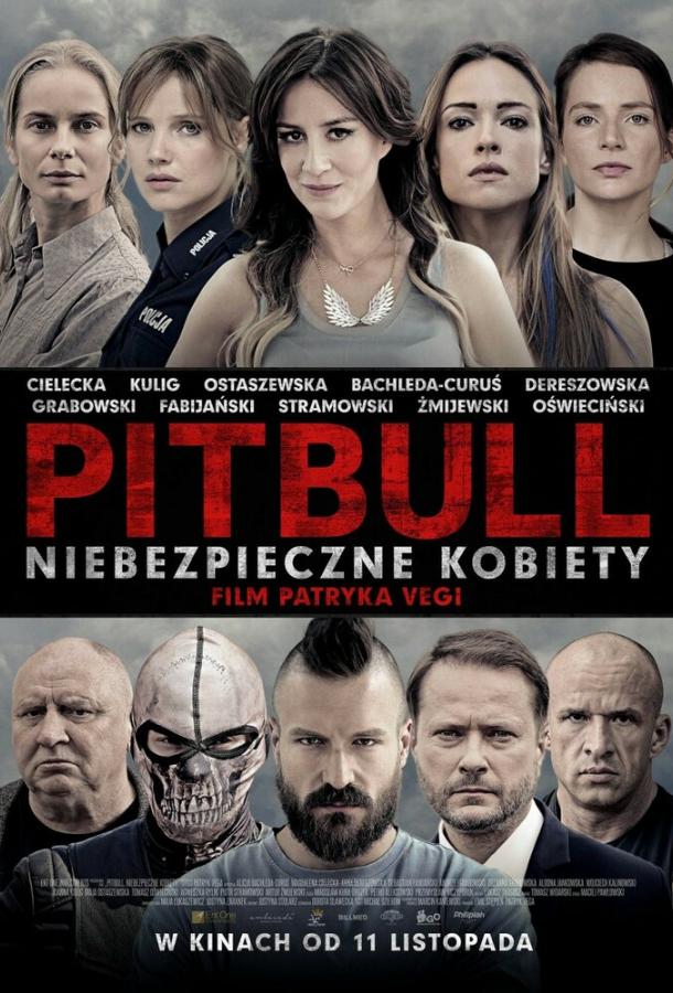 Питбуль. Опасные женщины / Pitbull. Niebezpieczne kobiety (2016) 