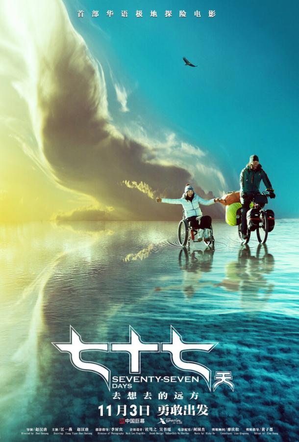 77 дней / Qi shi qi tian (2017) 