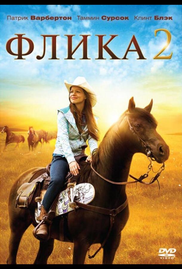Флика 2 / Flicka 2 (2010) 