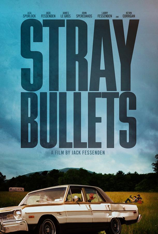Шальные пули / Stray Bullets (2016) 